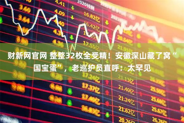 财新网官网 整整32枚全受精！安徽深山藏了窝“国宝蛋”，老巡护员直呼：太罕见